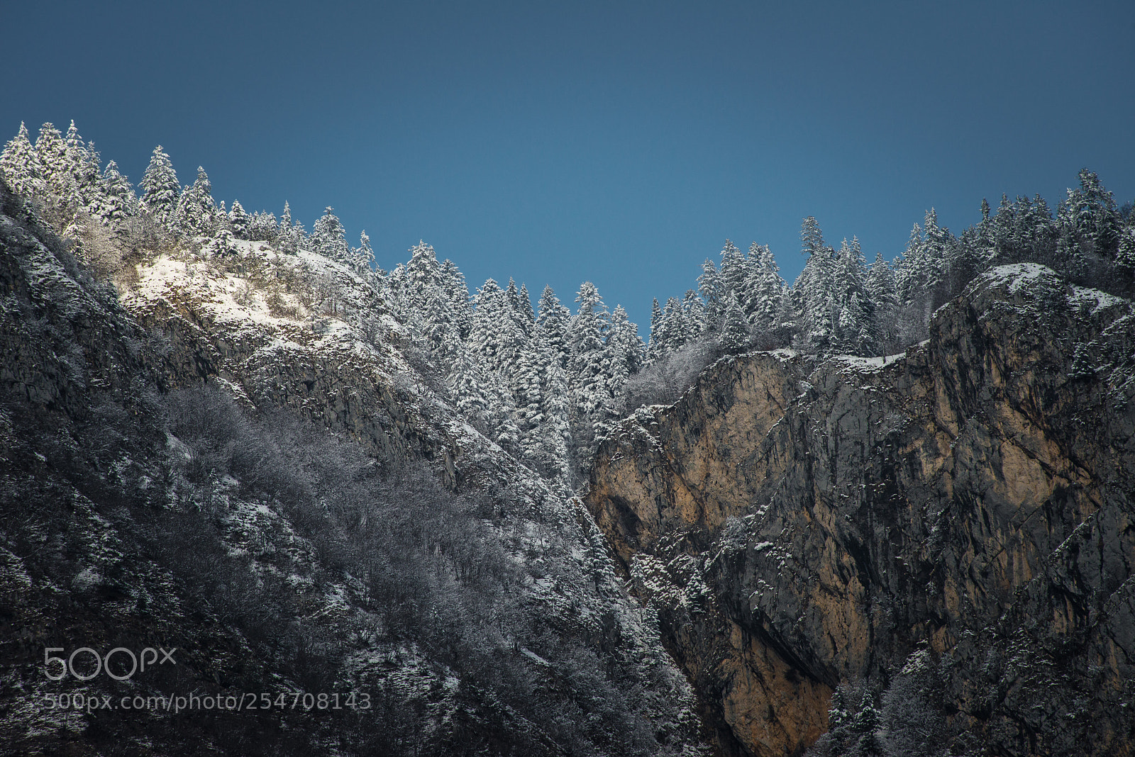 Nikon D800E sample photo. Snow photography