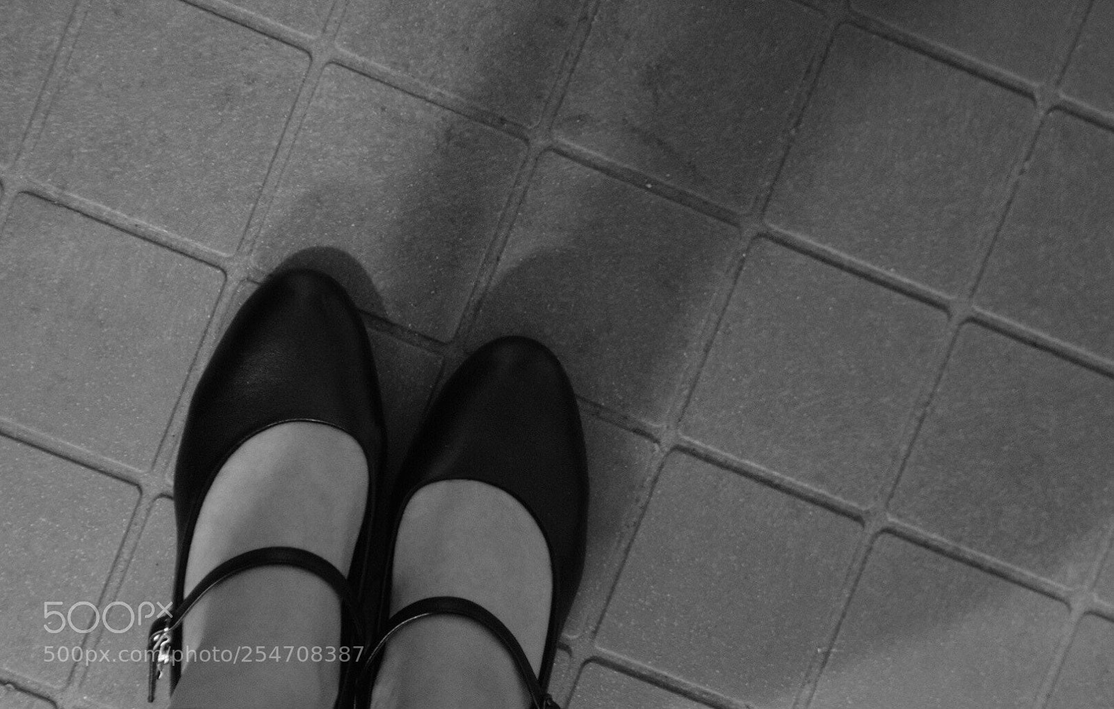 Nikon D5300 sample photo. Untitled photography