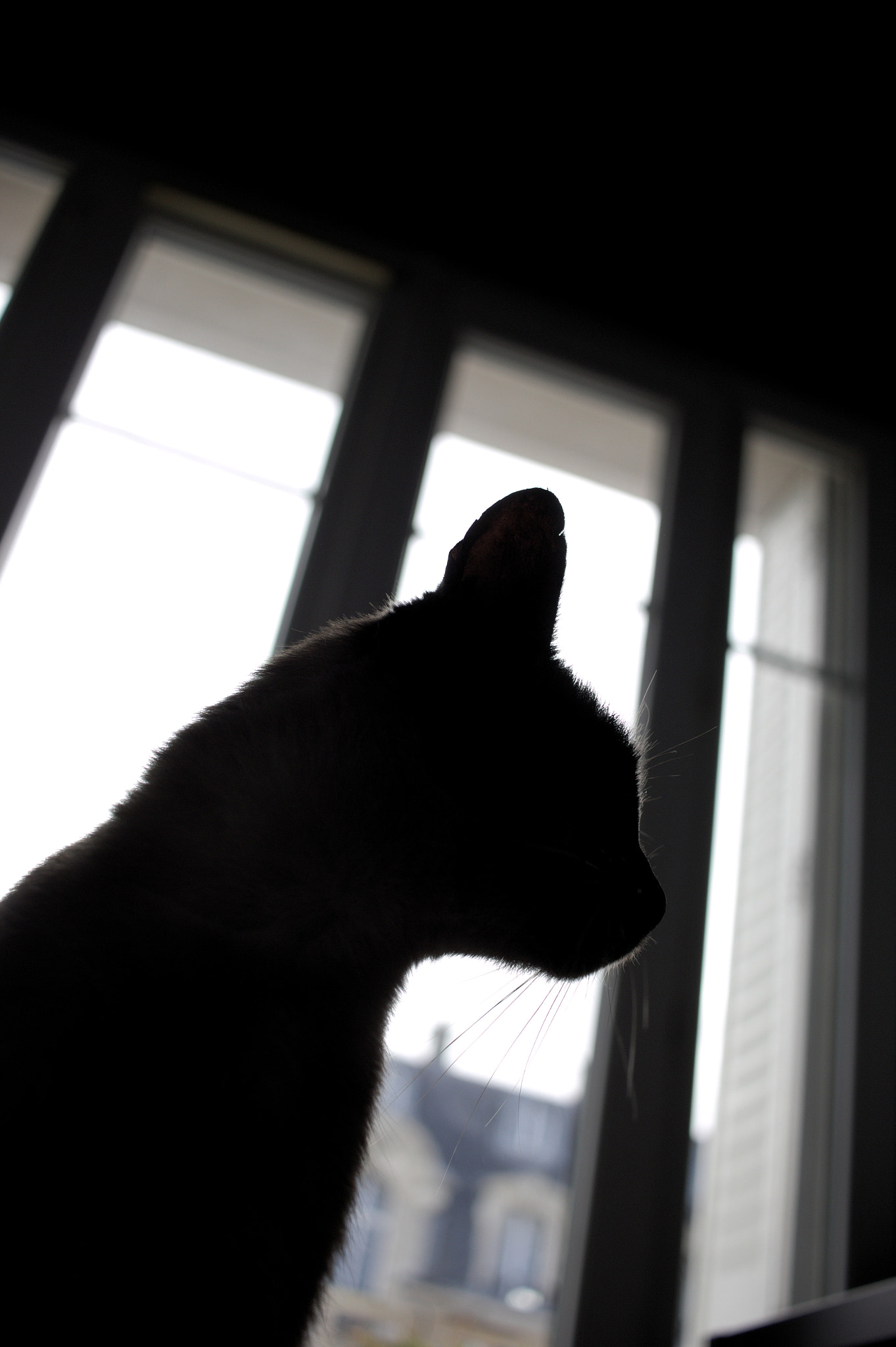 Canon EF-S 24mm F2.8 STM sample photo. 171022_maui photography