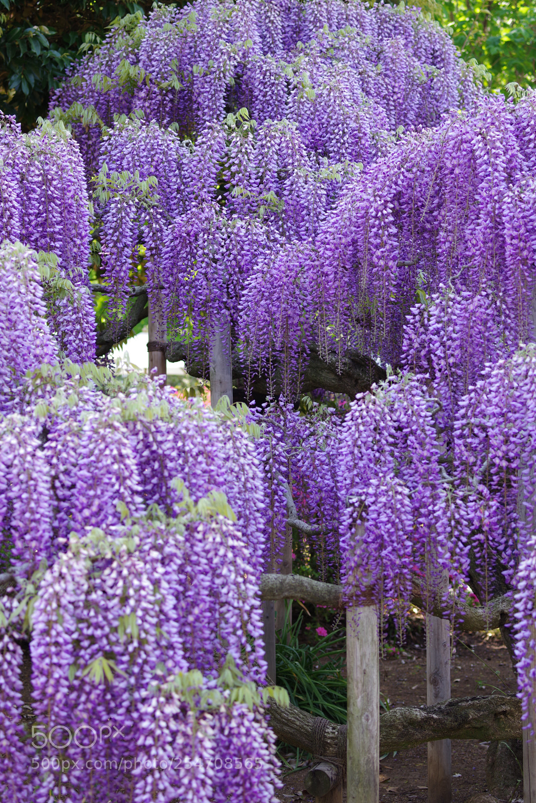 Pentax K-70 sample photo. Untitled photography