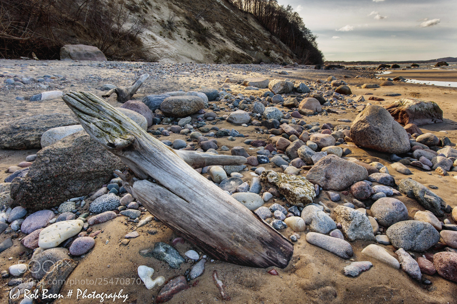 Canon EOS 5DS sample photo. Driftwood beach g hren photography