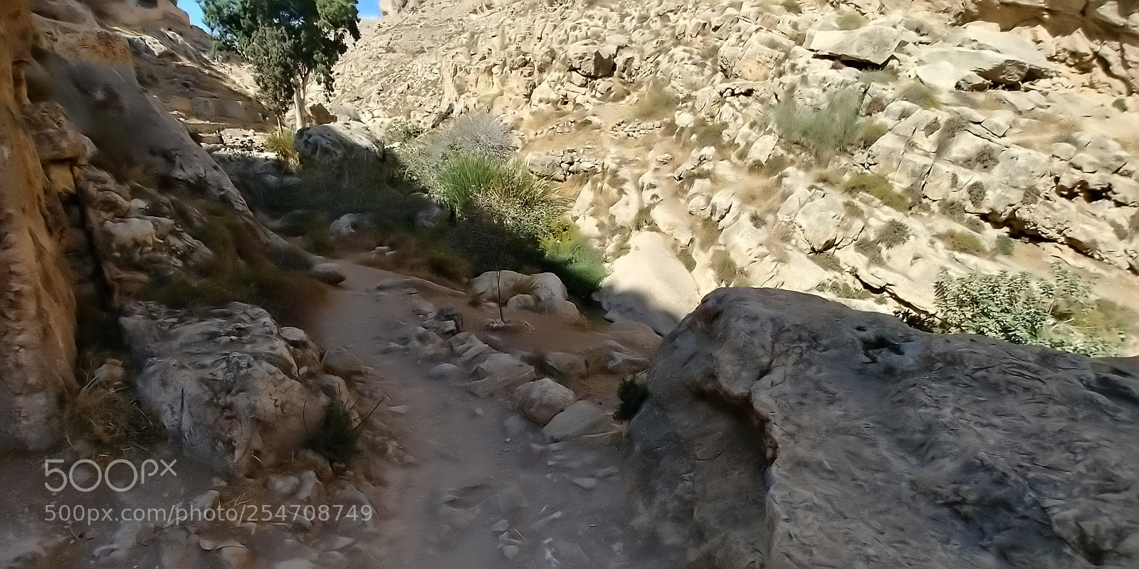 LG G6 sample photo. Ein prat photography