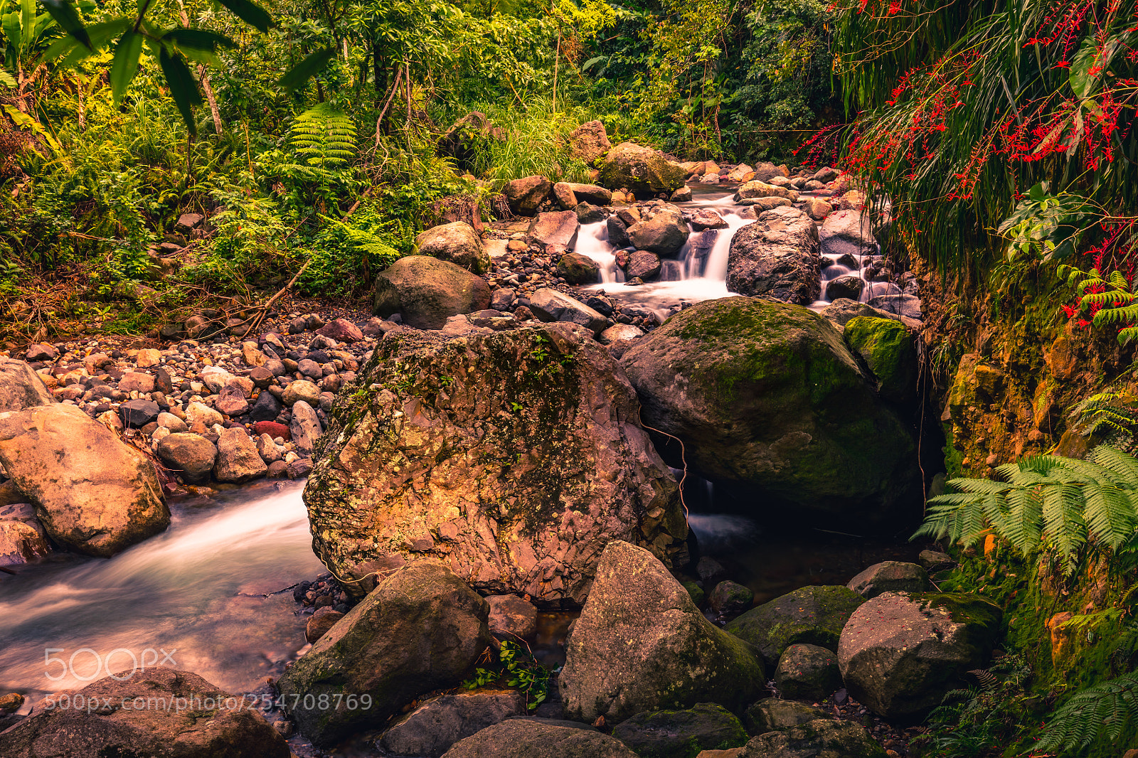 Canon EOS 5DS sample photo. A day for the photography