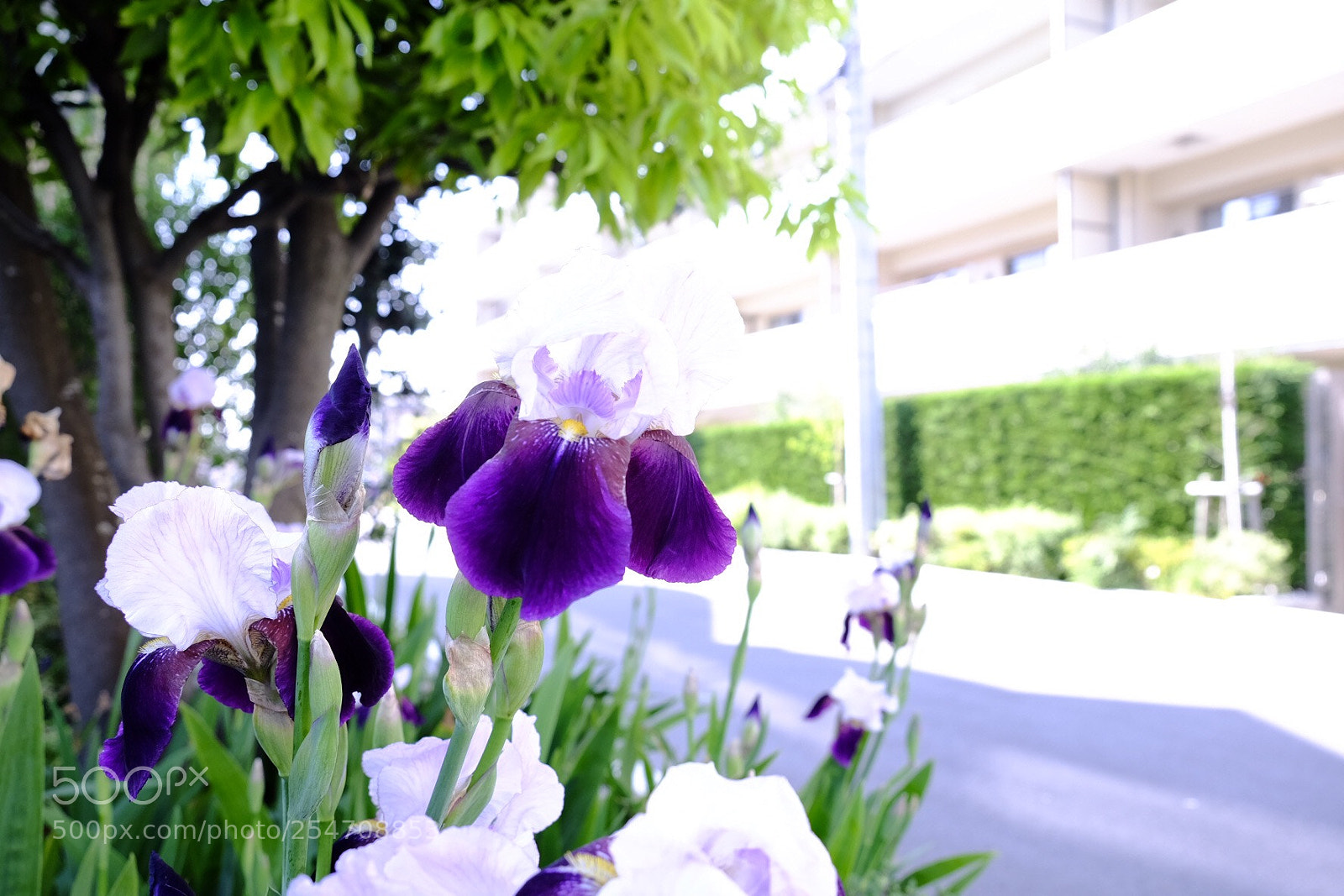 Fujifilm X-T1 sample photo. Untitled photography