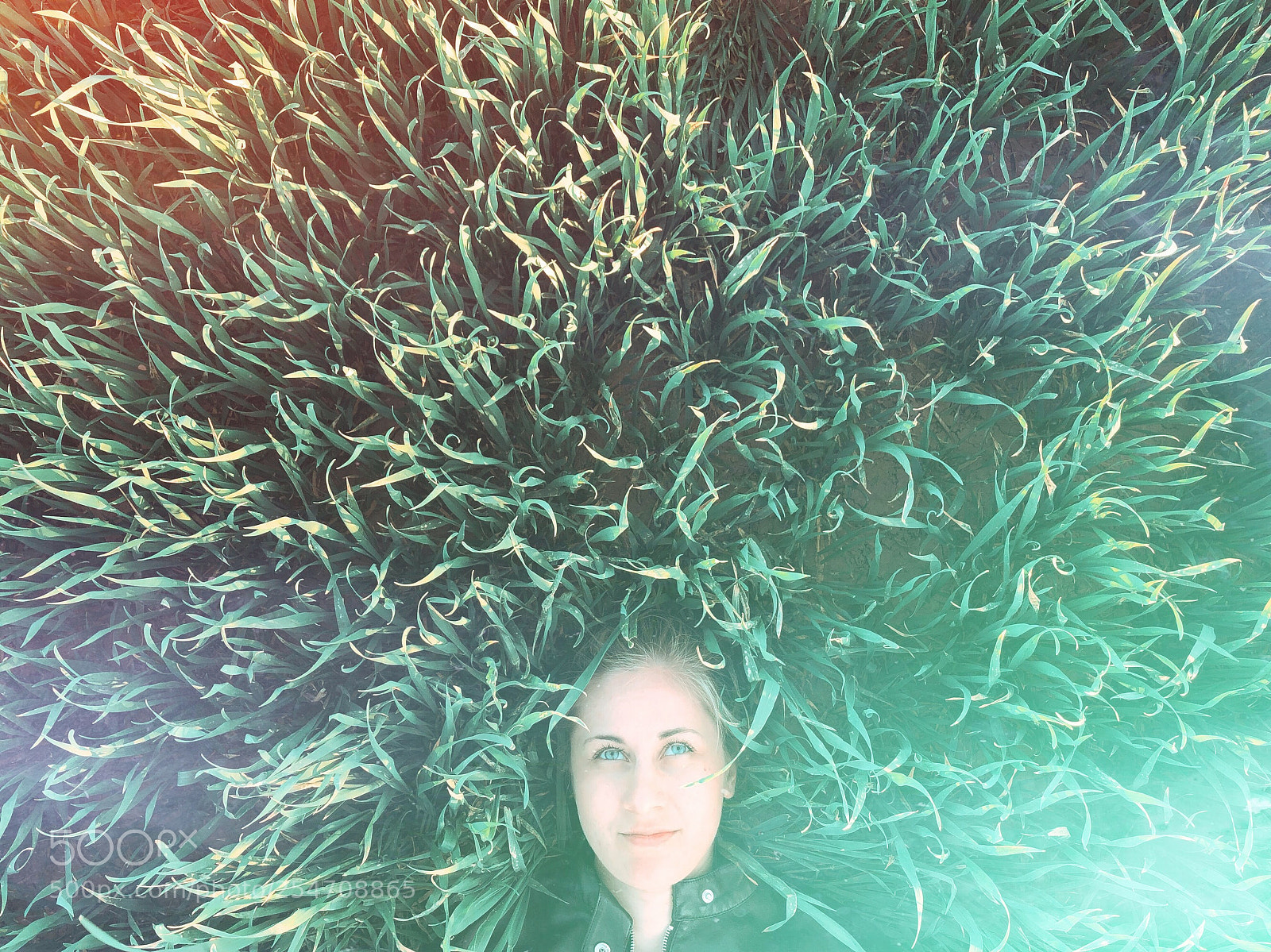 Apple iPhone 8 sample photo. Dreaming grass photography