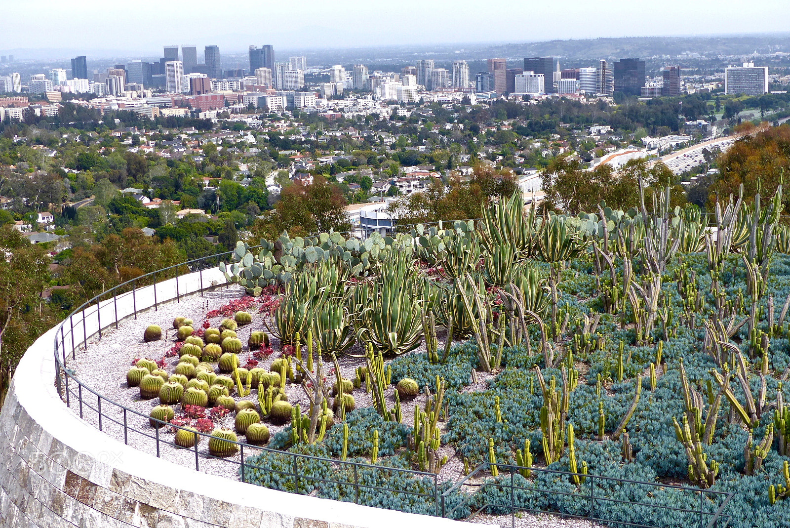 Panasonic Lumix DMC-FZ200 sample photo. Cactus garden with view photography