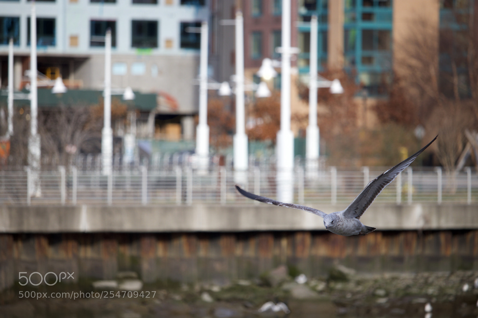 Canon EOS 77D (EOS 9000D / EOS 770D) sample photo. Fullsizeoutput photography