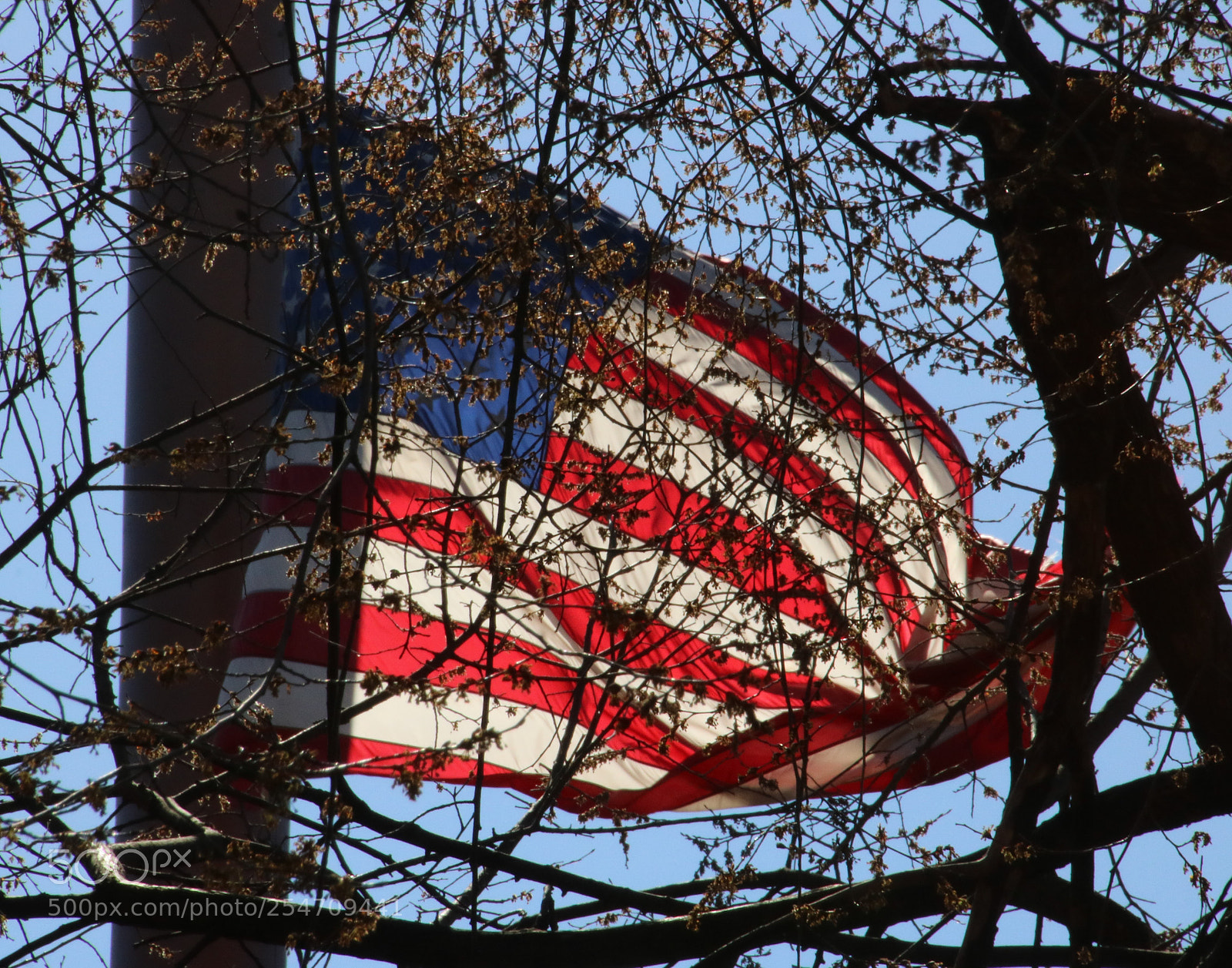 Canon EOS 760D (EOS Rebel T6s / EOS 8000D) sample photo. Patriotism photography