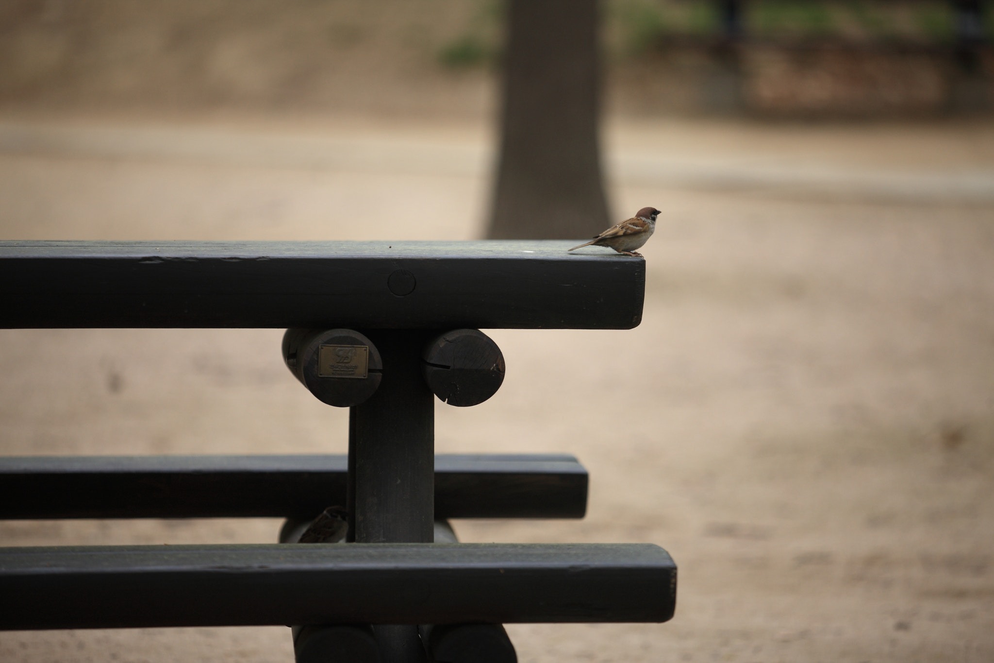 Canon EF 80-200mm f/2.8L sample photo. In the edge photography