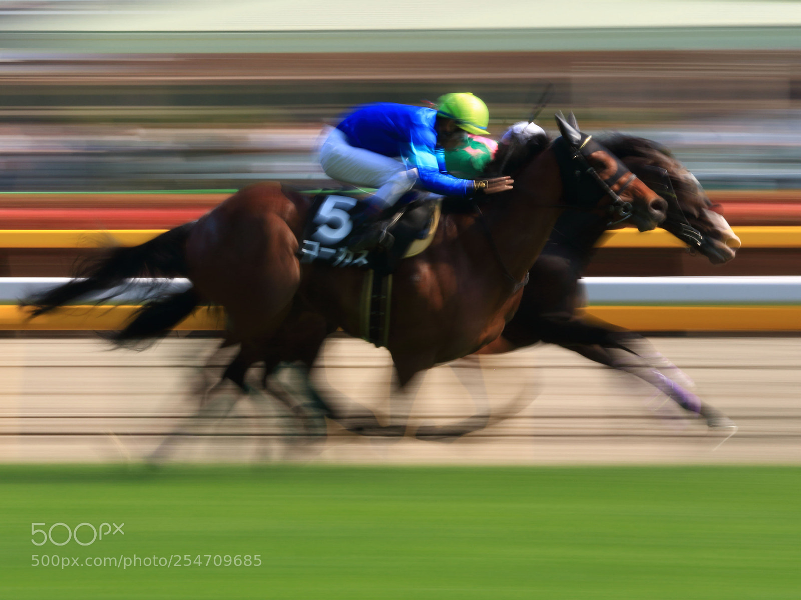 Canon EOS 7D Mark II sample photo. Horse race photography