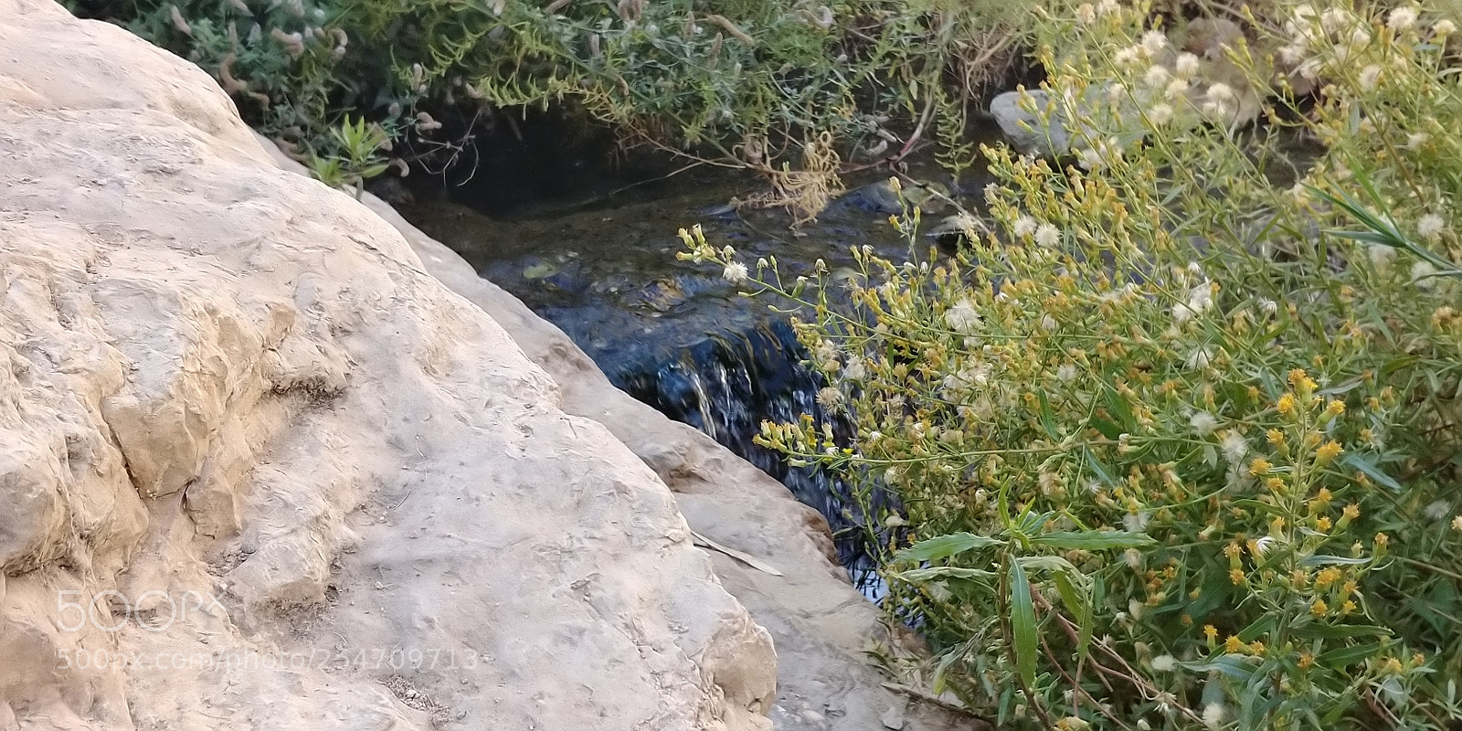 LG G6 sample photo. Ein prat photography