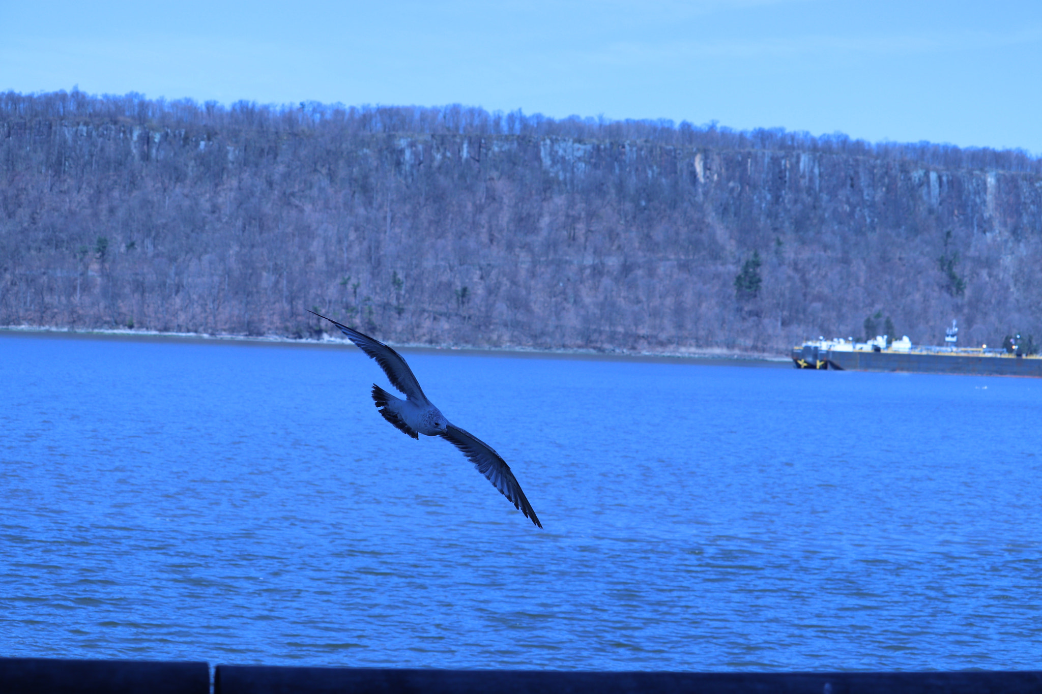 Canon EF-S 55-250mm F4-5.6 IS STM sample photo. Img photography