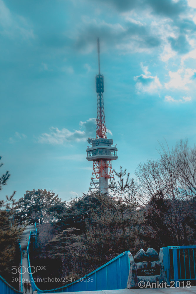 Canon EOS 1200D (EOS Rebel T5 / EOS Kiss X70 / EOS Hi) sample photo. Utsunomiya tower photography