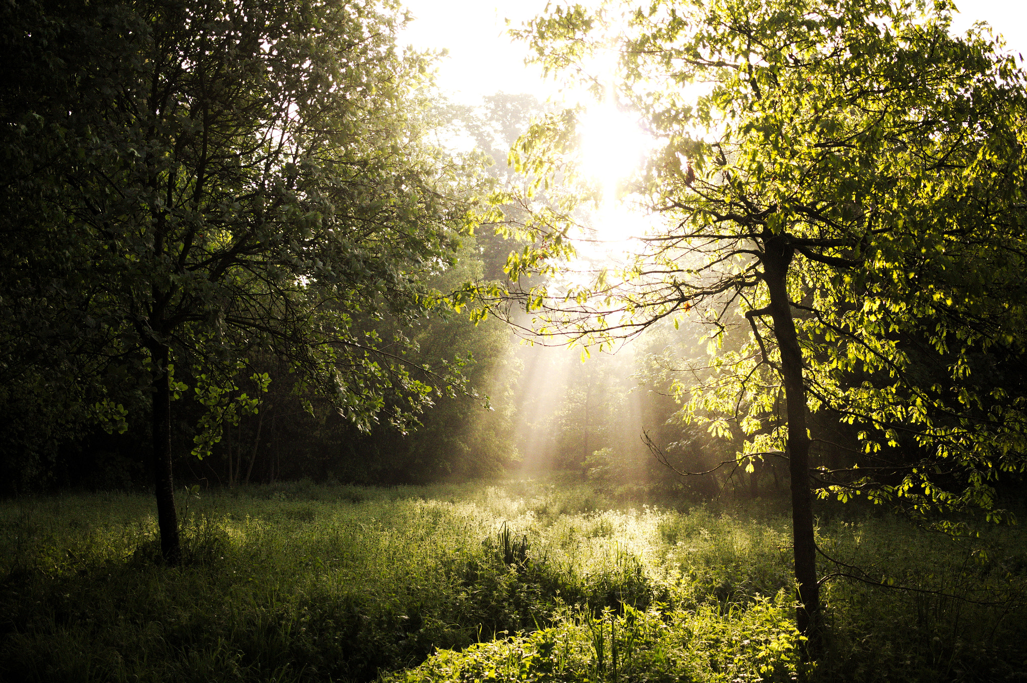 Canon EF-S 24mm F2.8 STM sample photo. 180422_vincennes photography