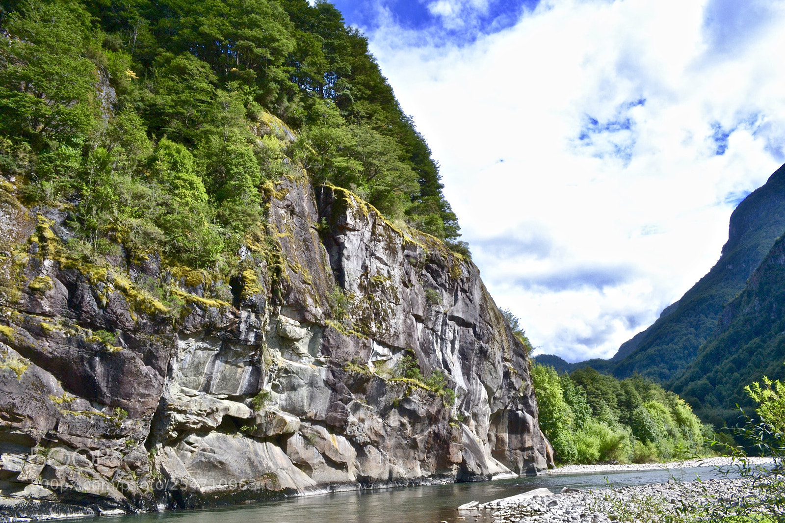 Nikon D3100 sample photo. Reserva nacional rio simpson photography
