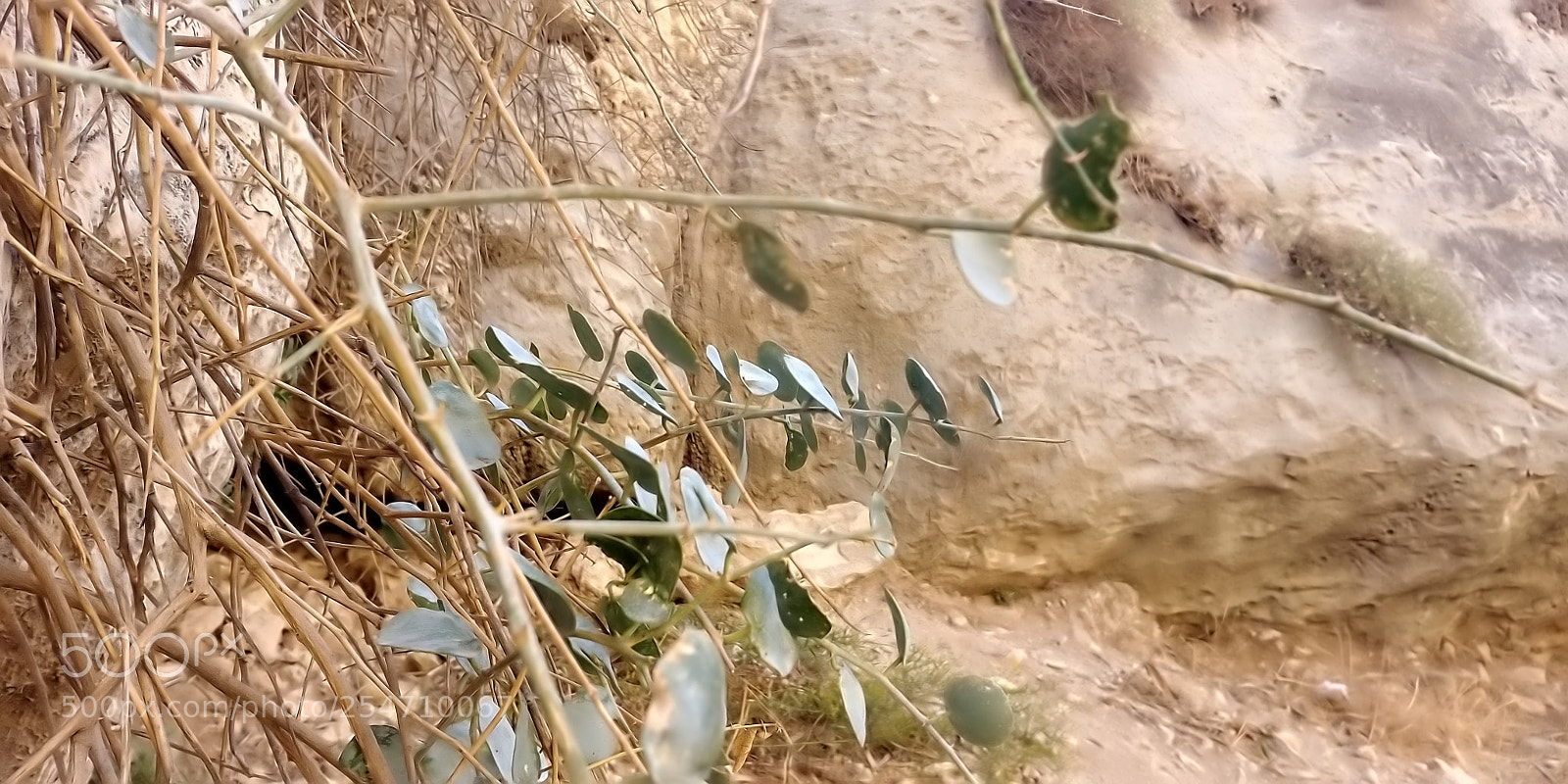 LG G6 sample photo. Ein prat photography