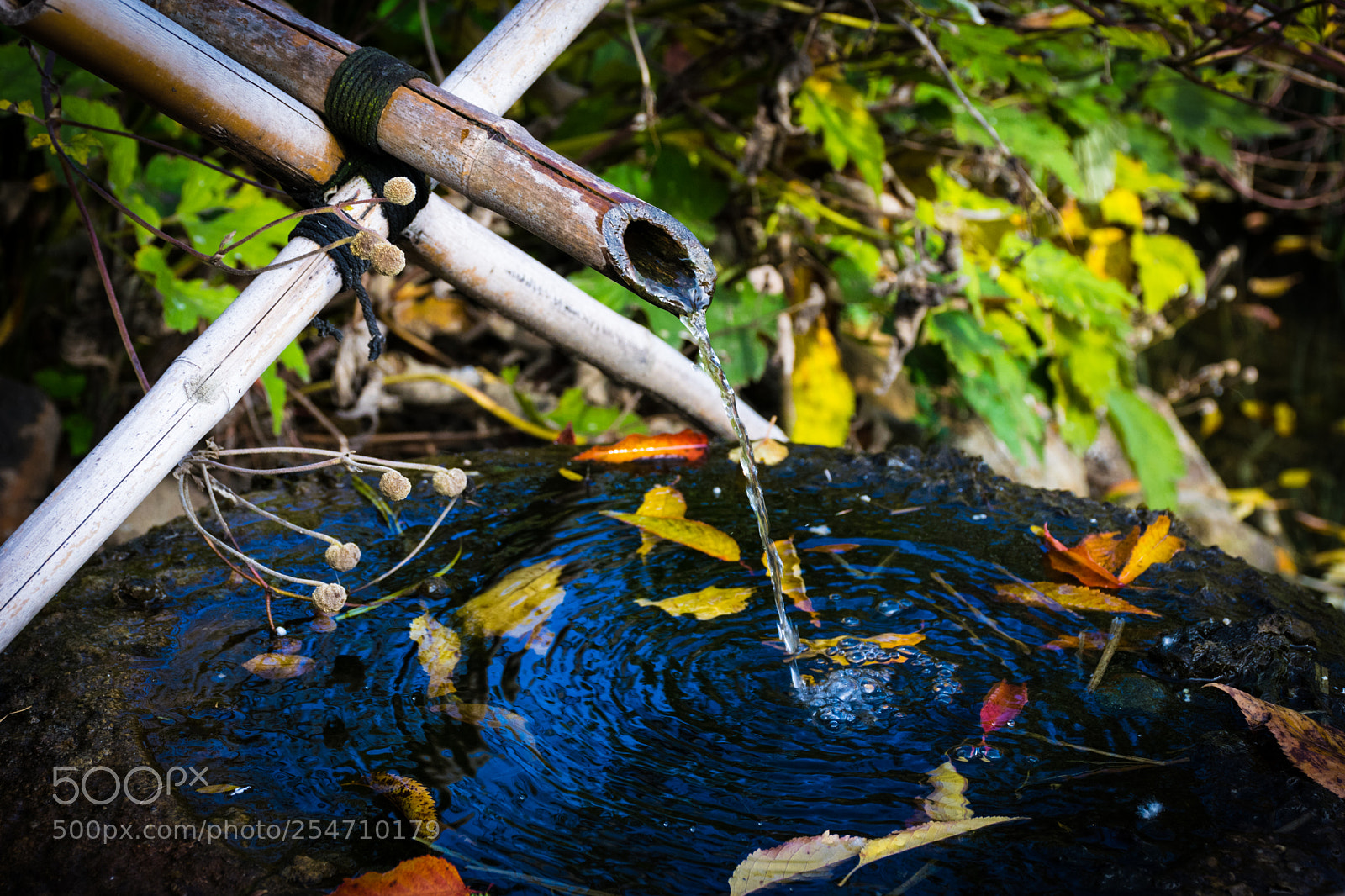 Nikon D5300 sample photo. Japanese bamboo fountain photography