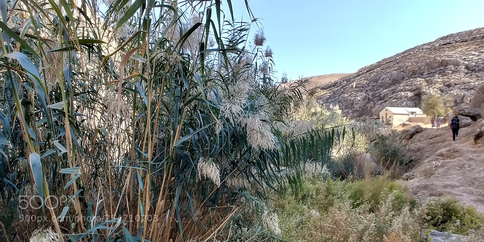 LG G6 sample photo. Ein prat photography
