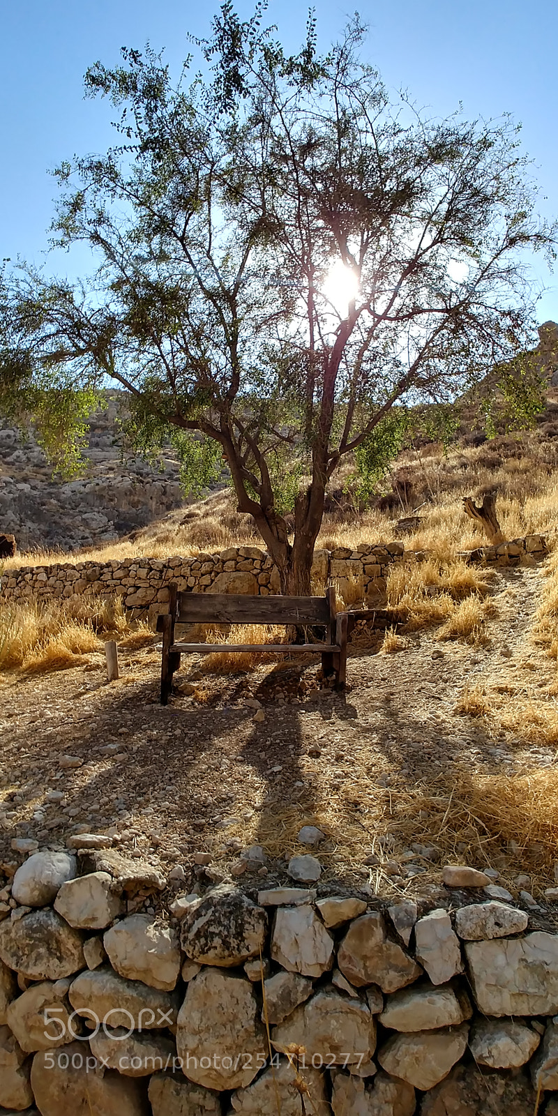 LG G6 sample photo. Ein prat photography