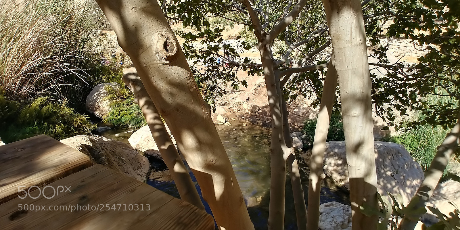 LG G6 sample photo. Ein prat photography
