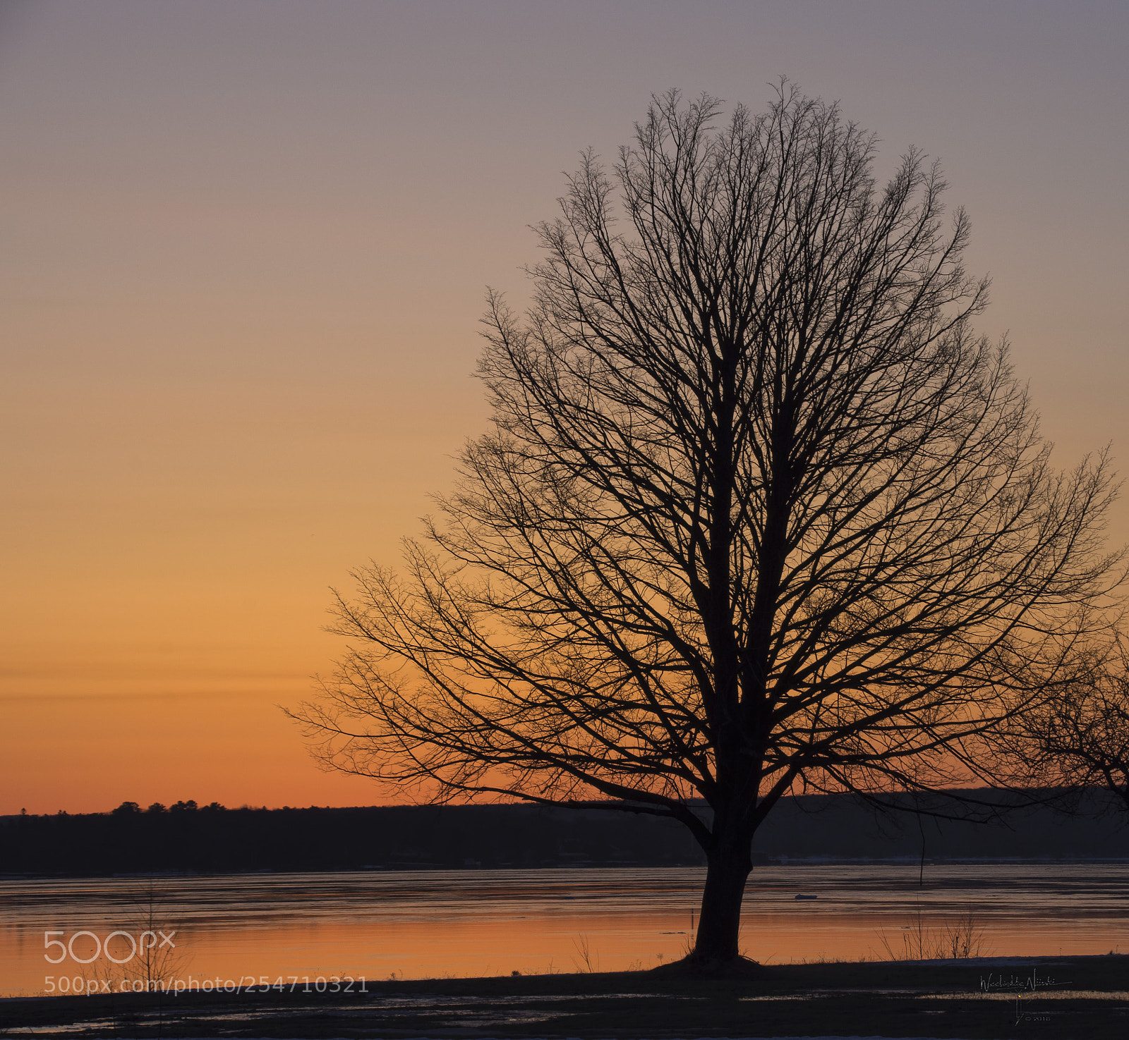 Nikon D7200 sample photo. Early morning photography
