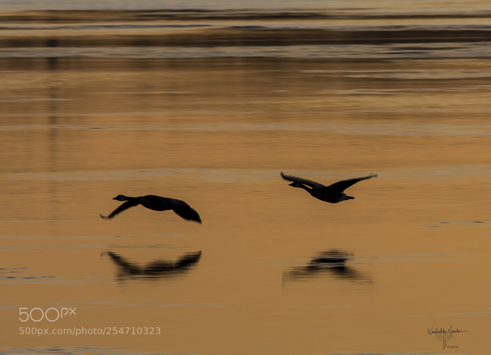 Nikon D7200 sample photo. Dawn flight photography