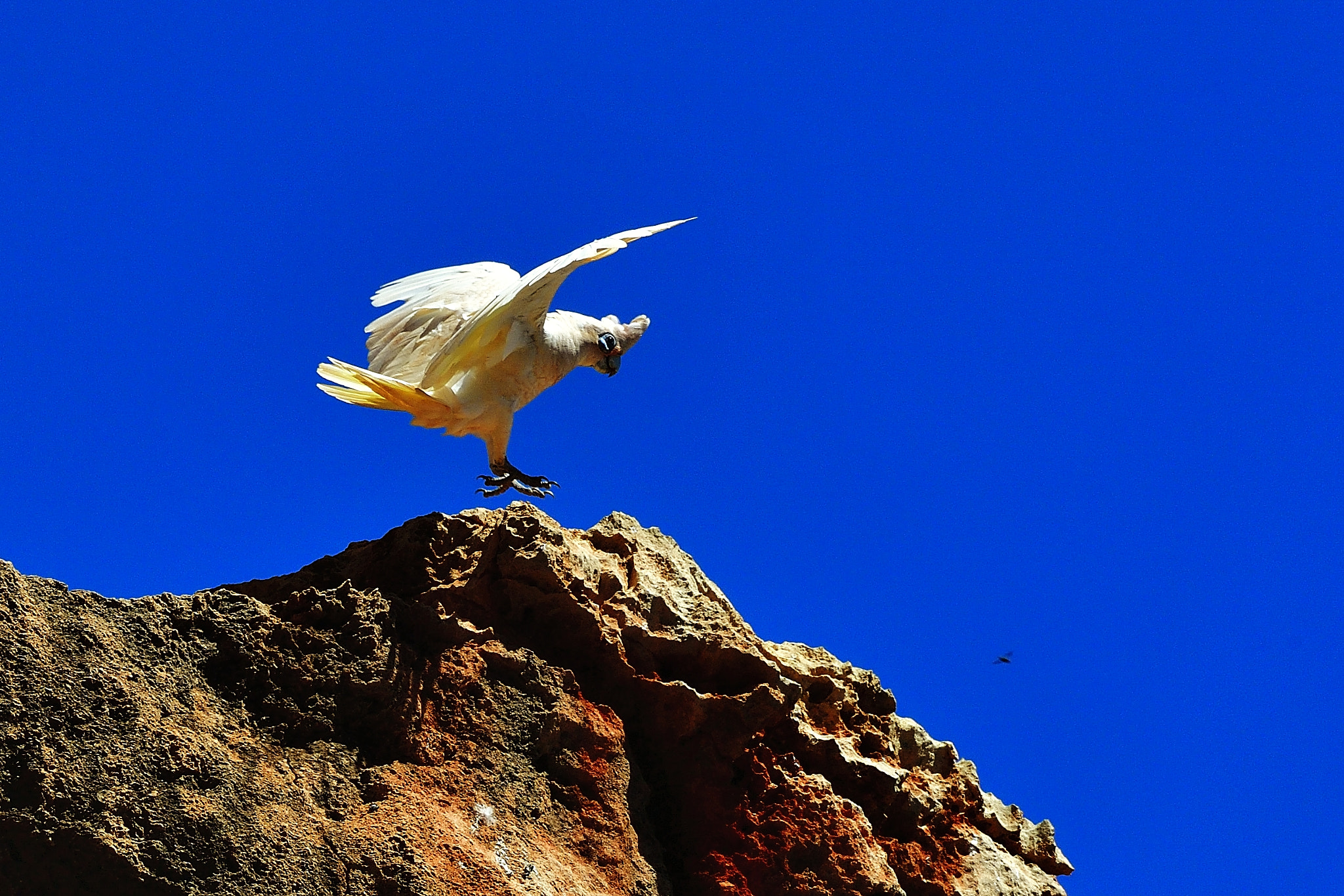 Nikon D5 sample photo. Trick photography