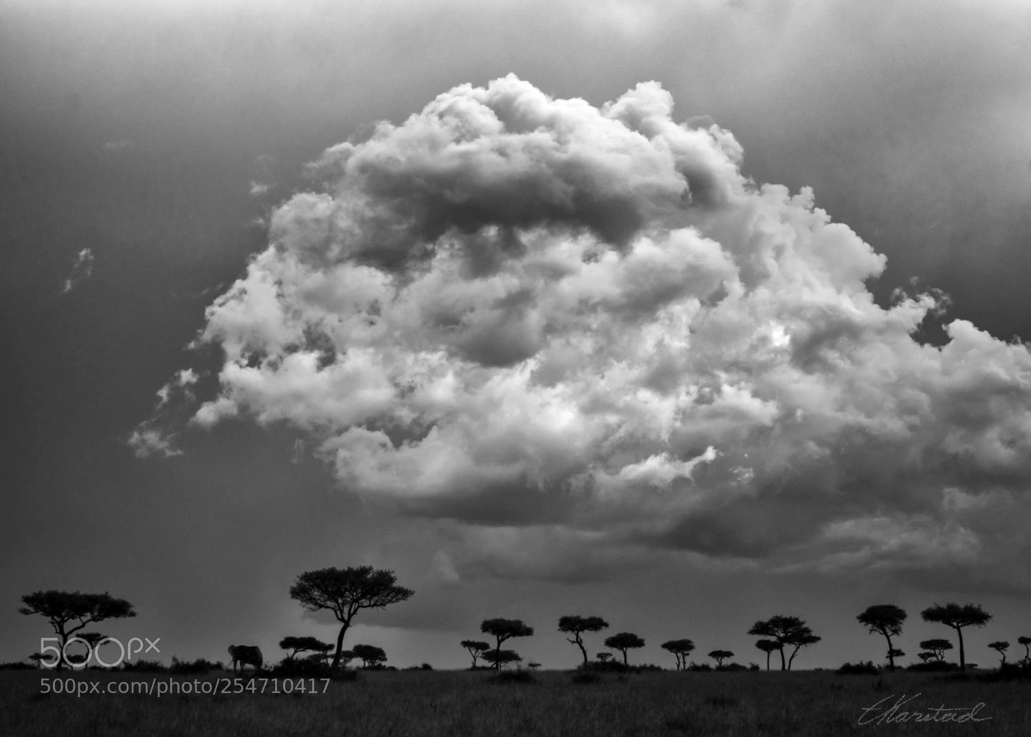 Nikon D810 sample photo. Cloud & sillhouette photography