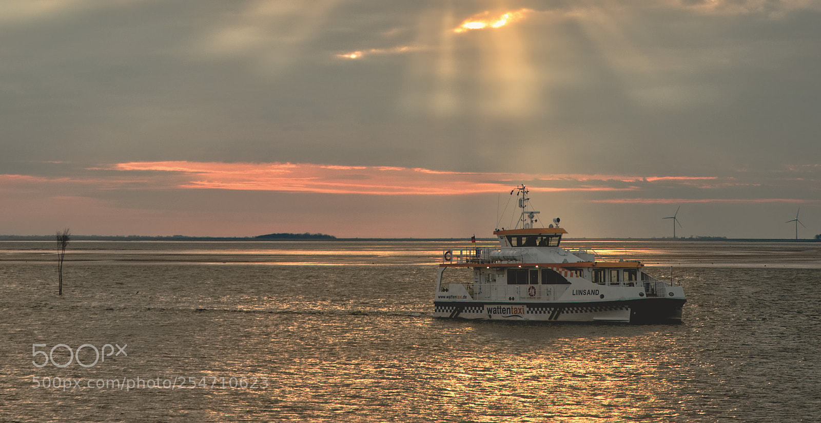 Nikon D610 sample photo. Coming home photography