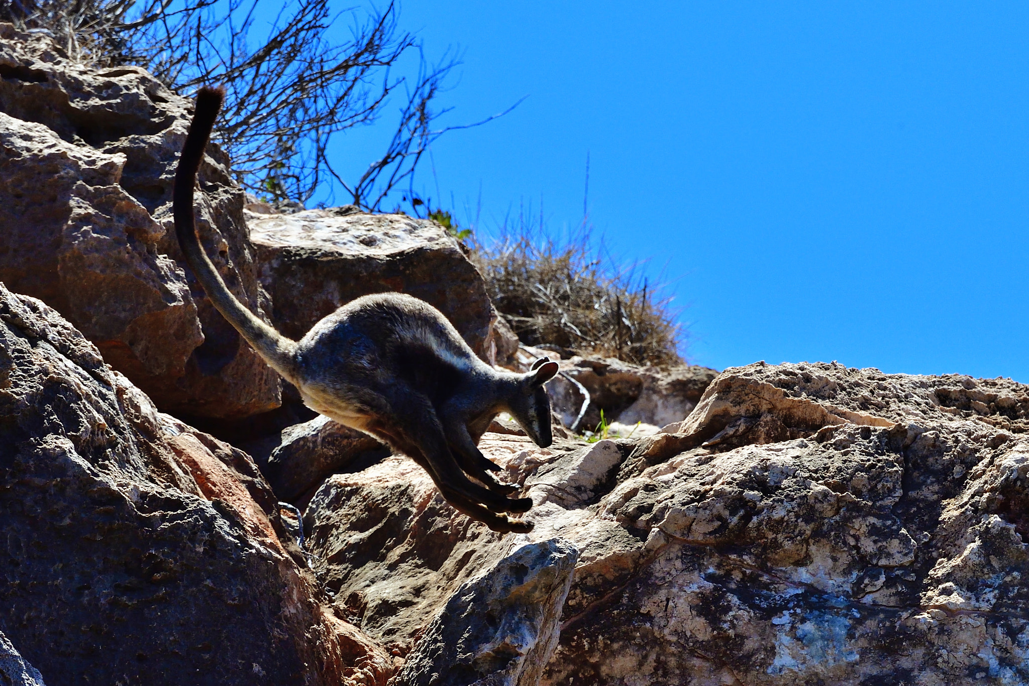 Nikon D5 sample photo. Land photography