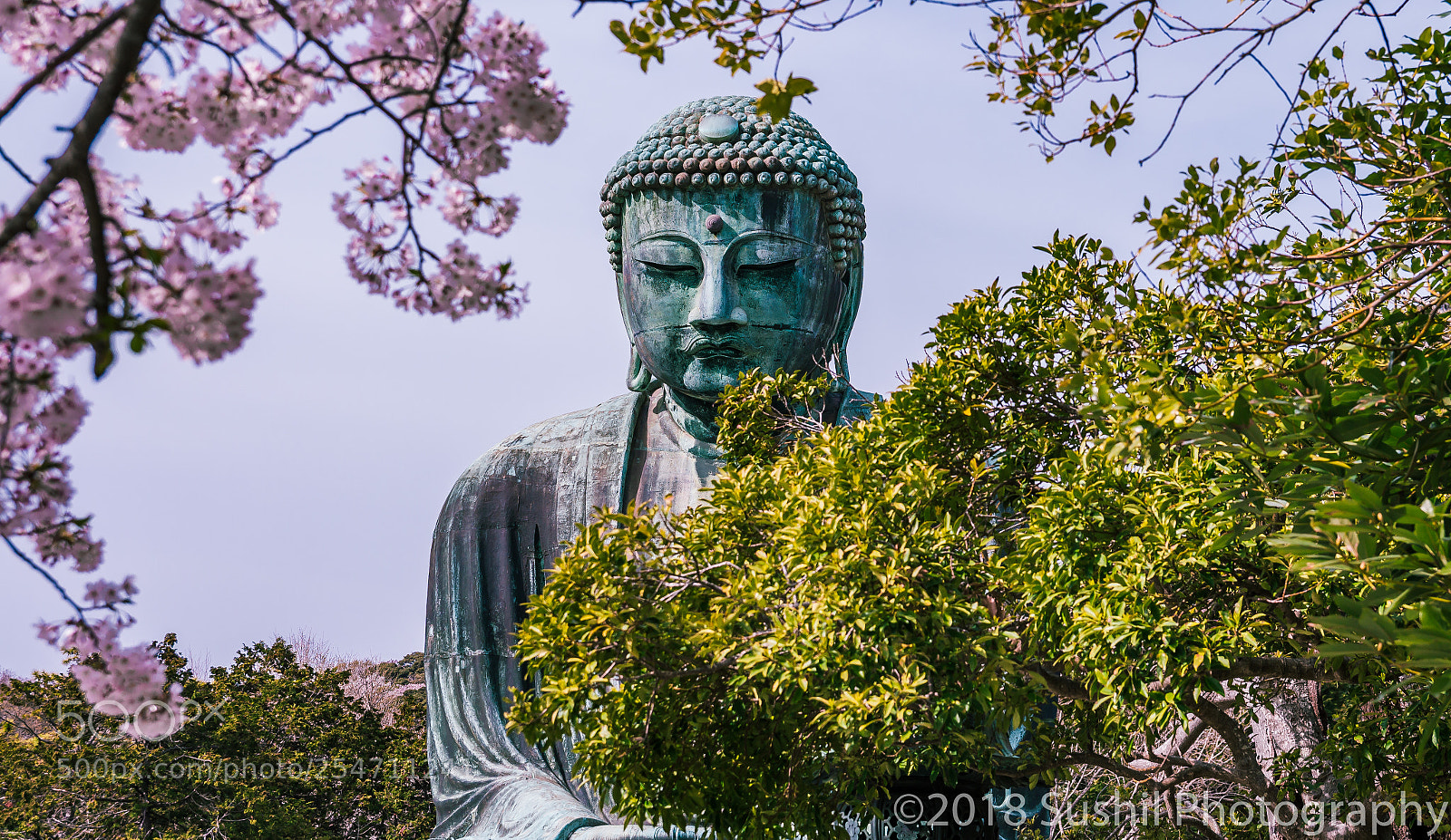 Canon EOS 700D (EOS Rebel T5i / EOS Kiss X7i) sample photo. Daibutsu kamakura photography