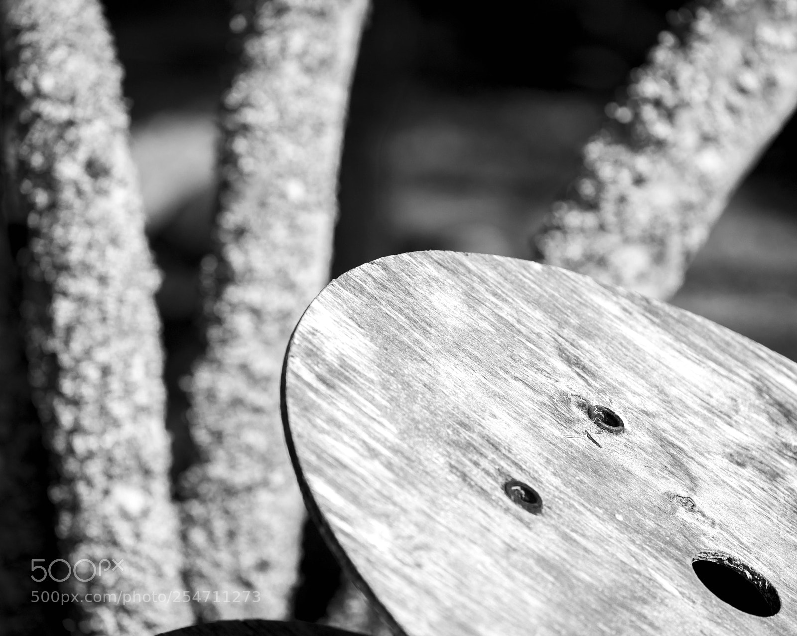 Nikon D850 sample photo. What photography