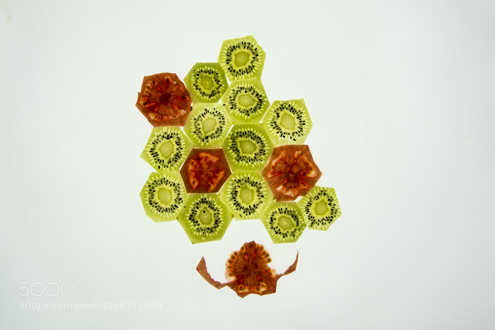 Nikon D7100 sample photo. Virus! photography