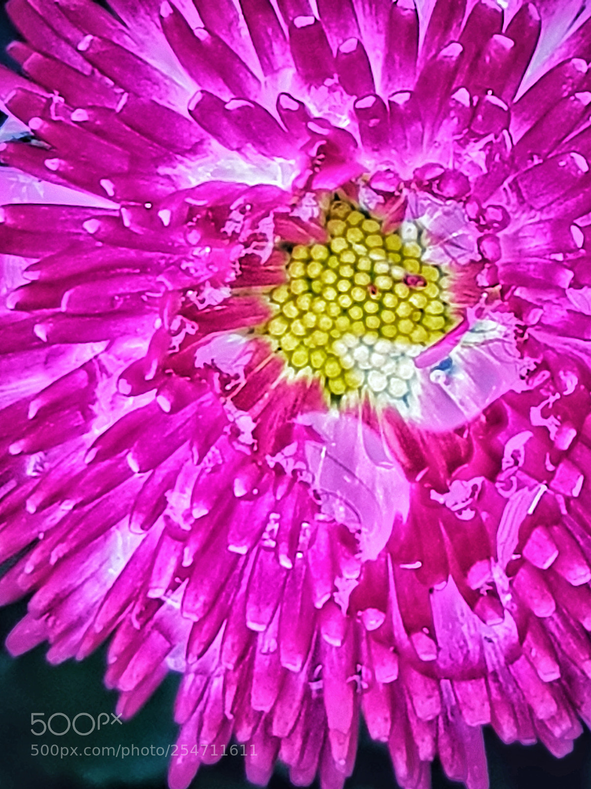 Samsung Galaxy S8 sample photo. Untitled photography