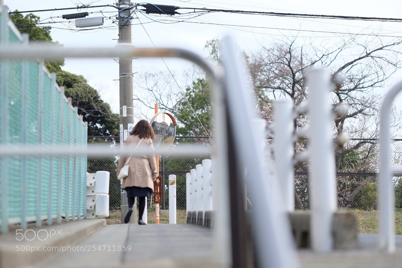 Fujifilm X-Pro2 sample photo. Morning photography