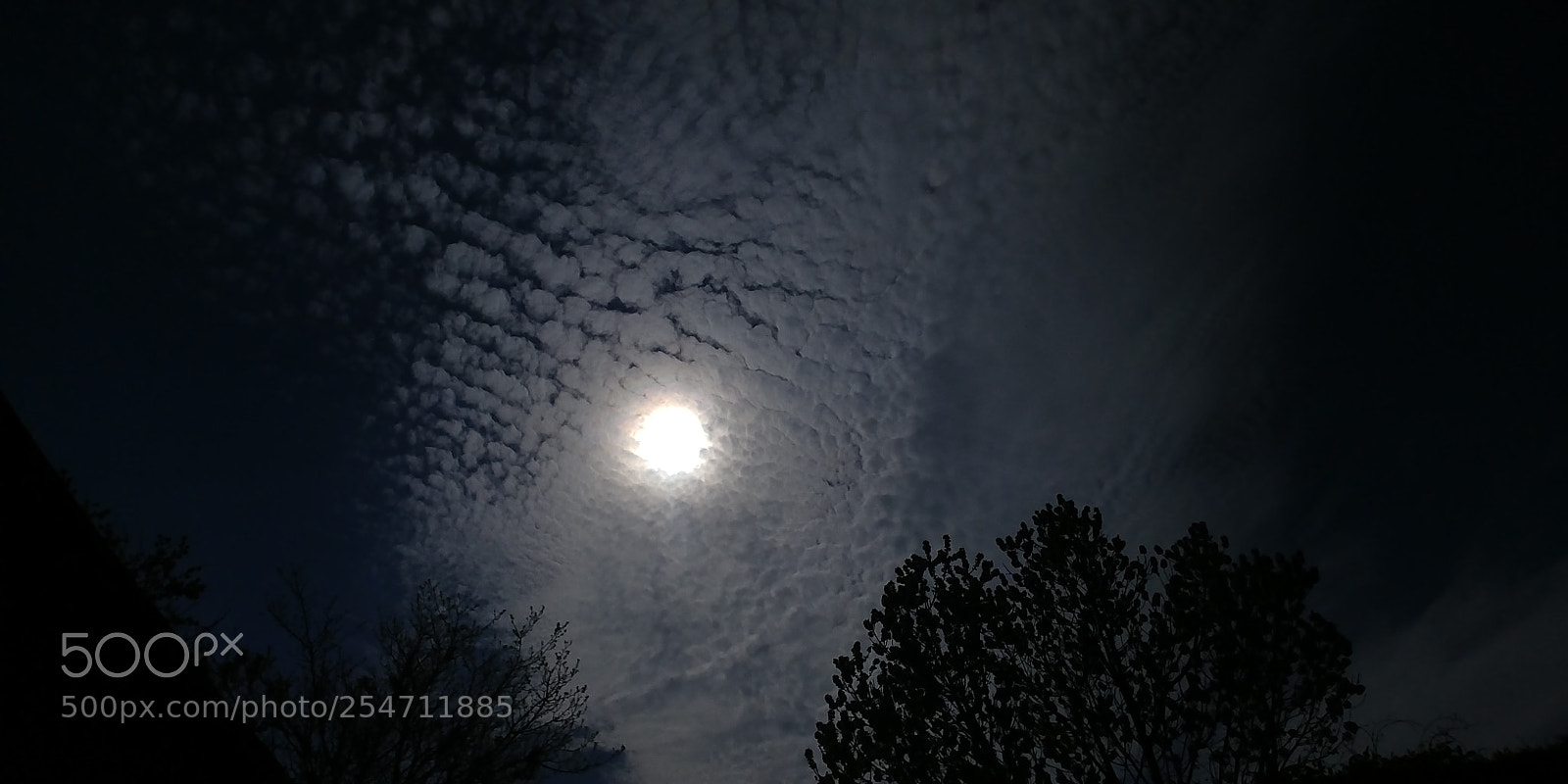 LG G6 sample photo. Sunmoon photography