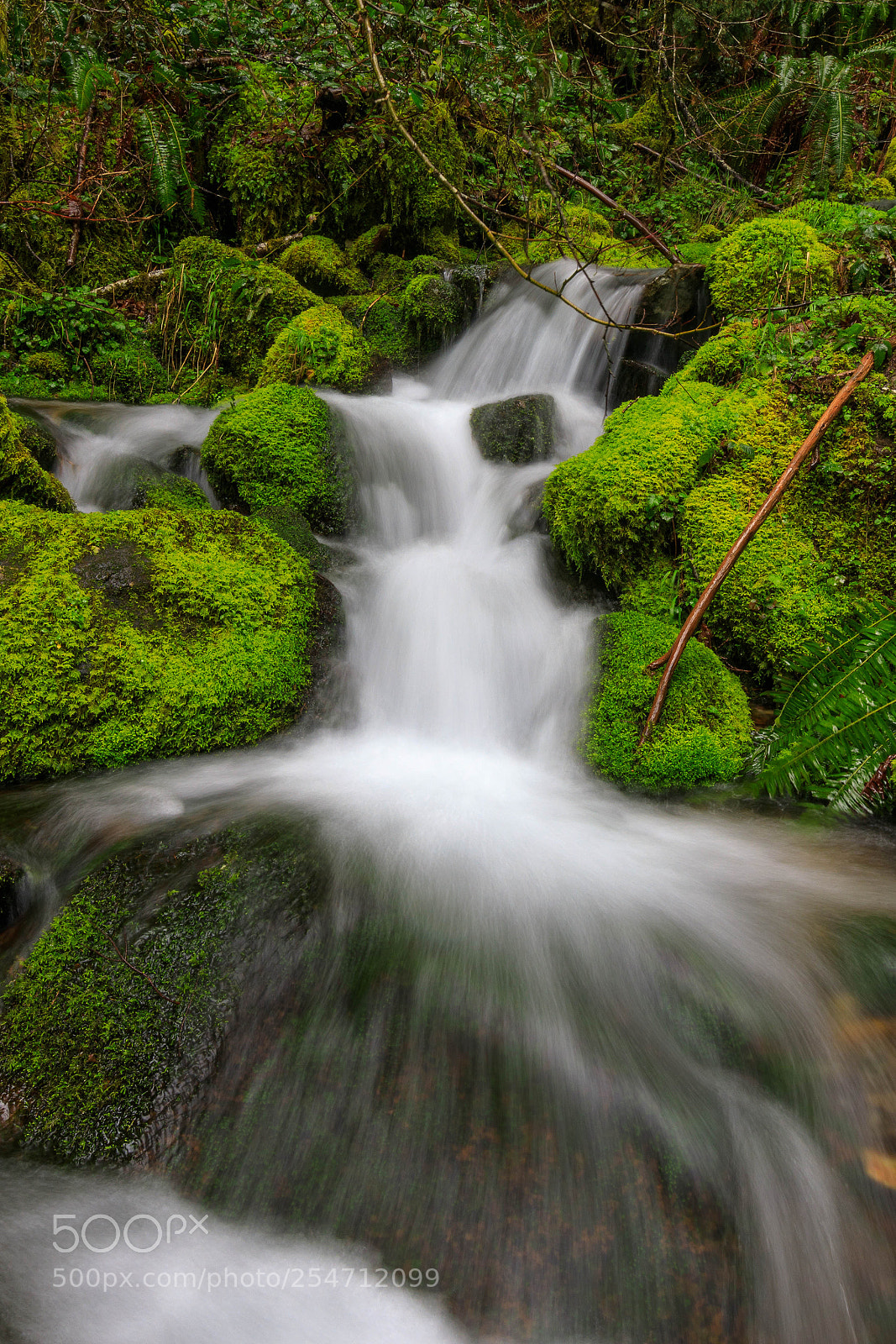 Canon EOS 5D Mark IV sample photo. Smooth stick and waterfall photography
