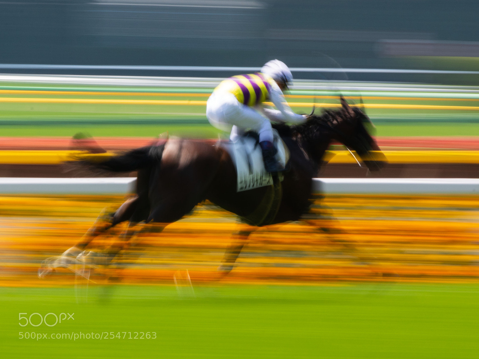 Canon EOS 7D Mark II sample photo. Horse race photography