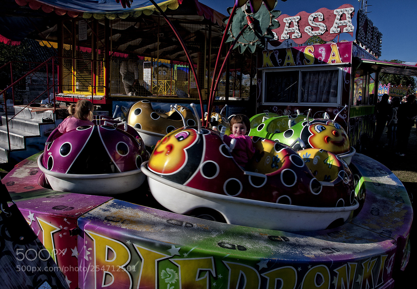 Canon EOS 40D sample photo. Ladybird photography