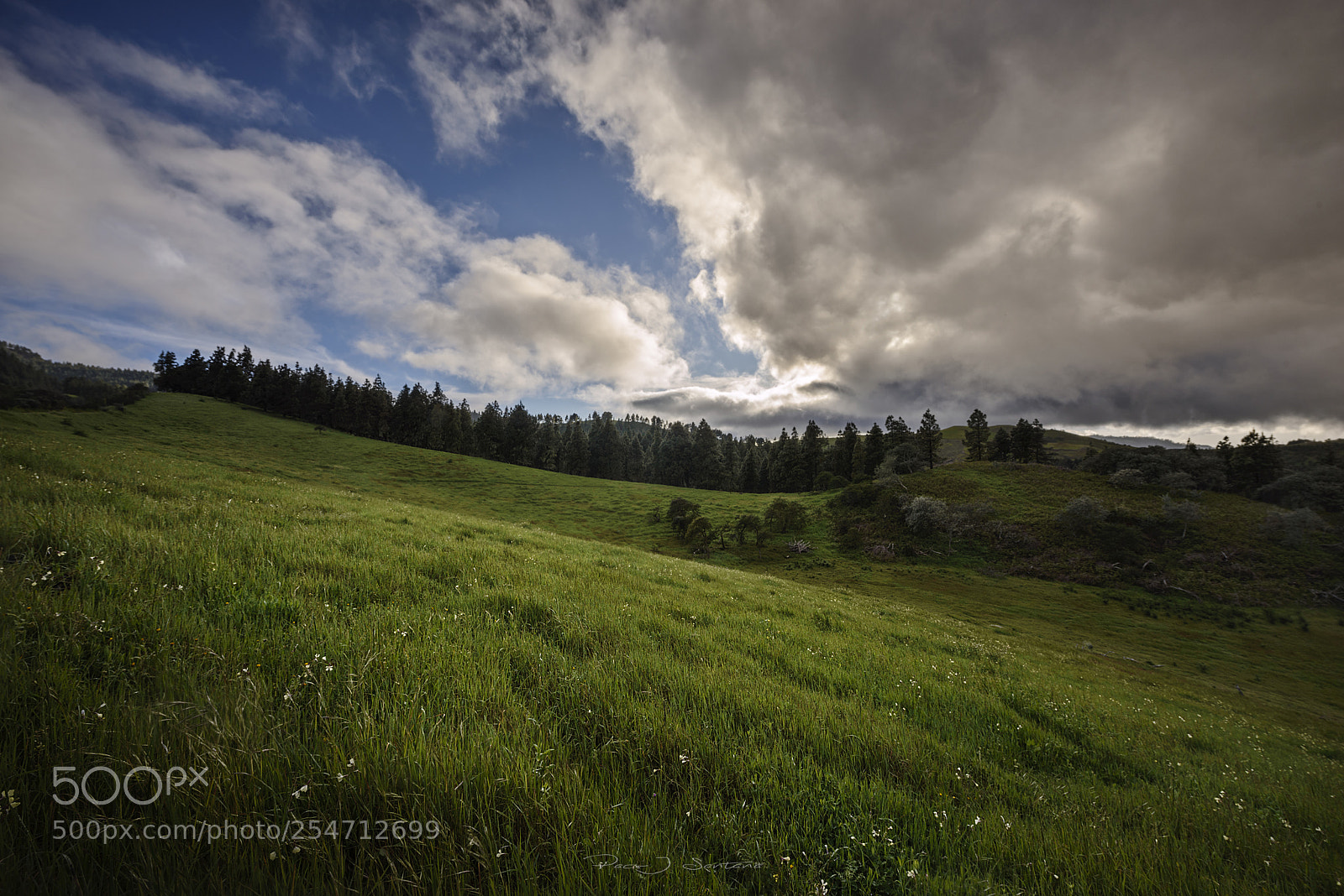 Nikon D610 sample photo. Waiting for rain photography