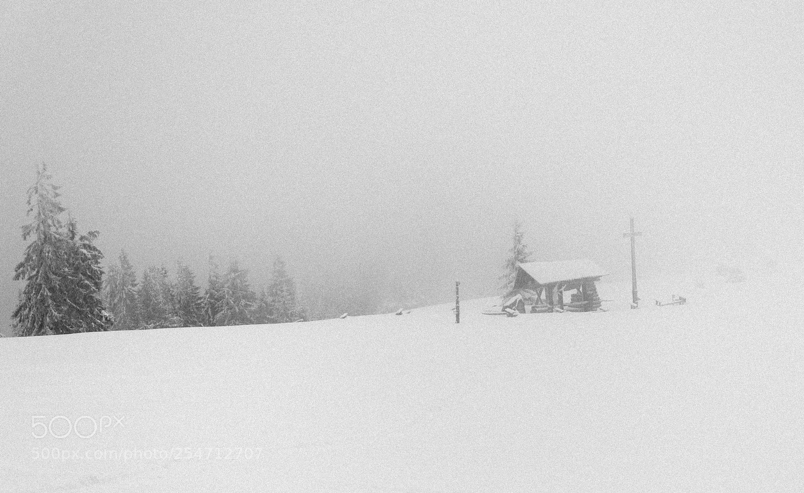 Nikon D90 sample photo. Blizzard photography