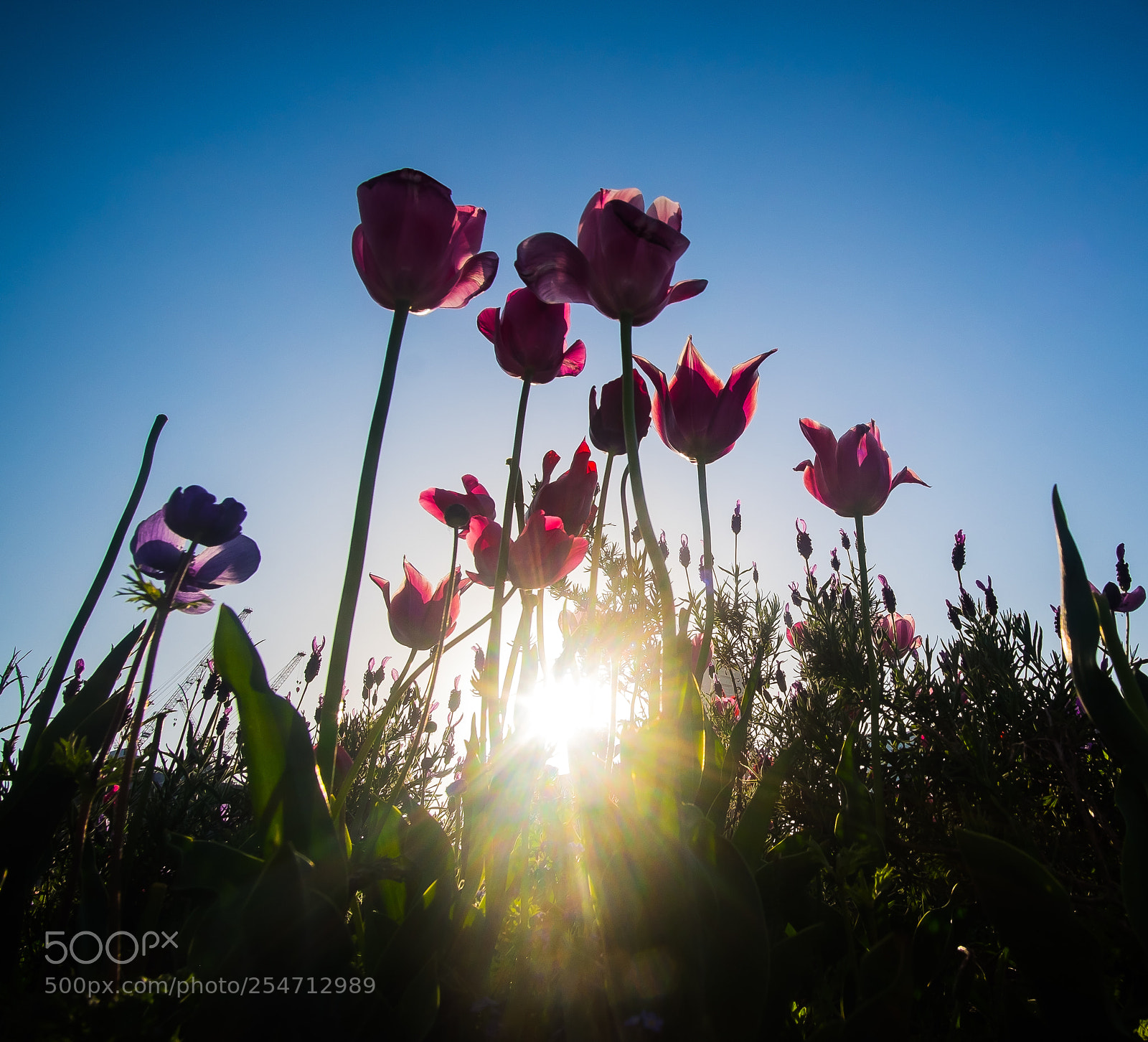 Fujifilm X-T10 sample photo. Untitled photography