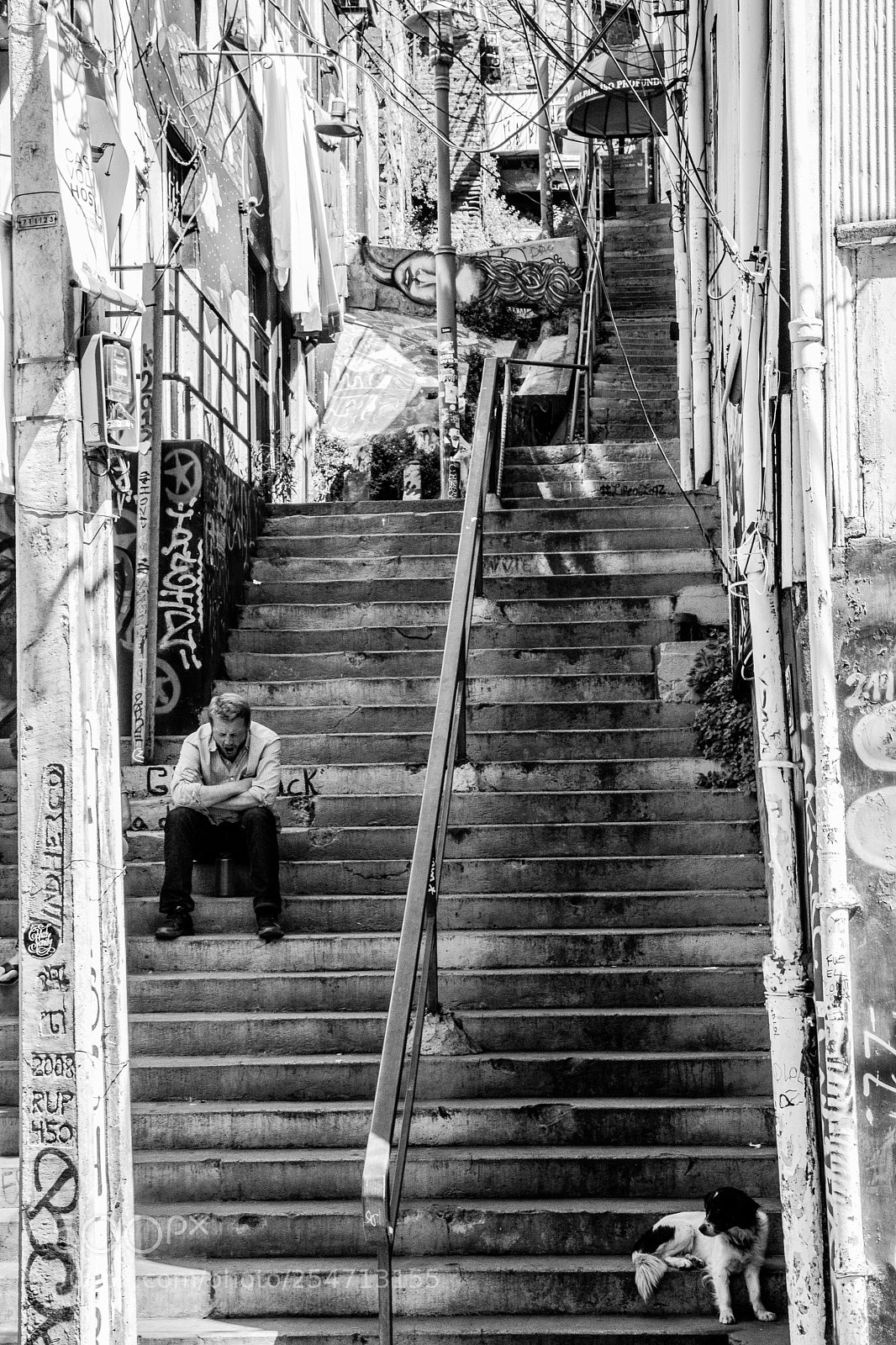 Canon EOS 80D sample photo. Two lonely souls photography