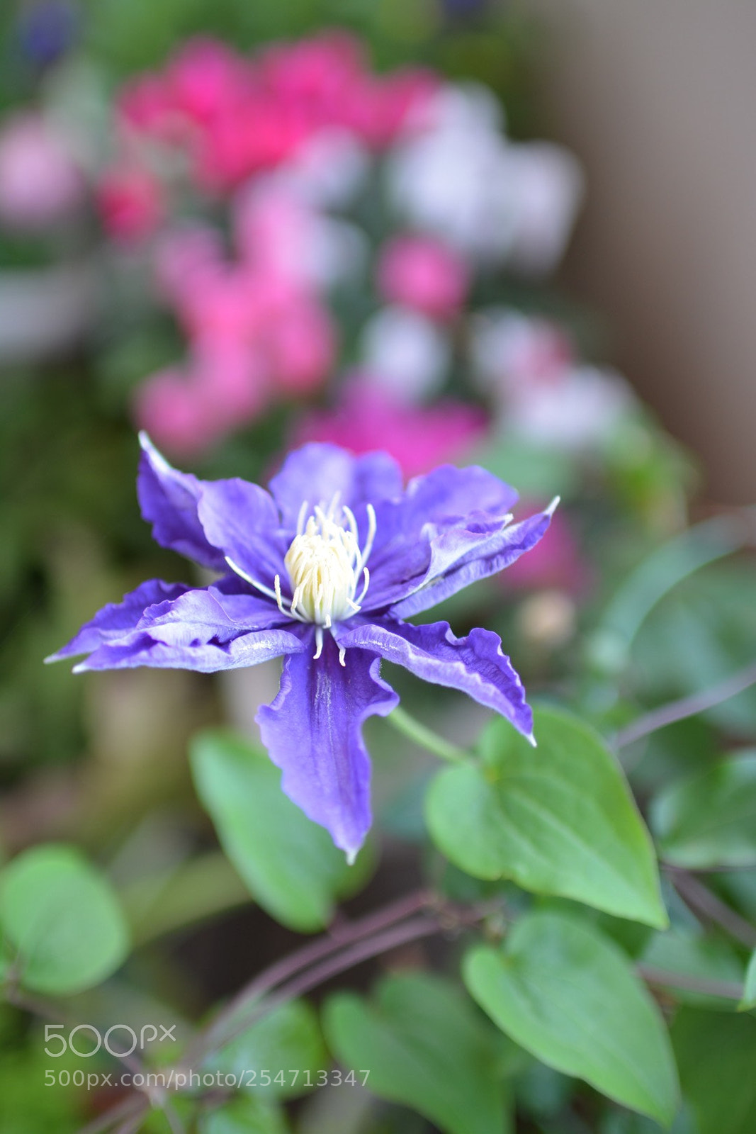 Nikon D7100 sample photo. Untitled photography