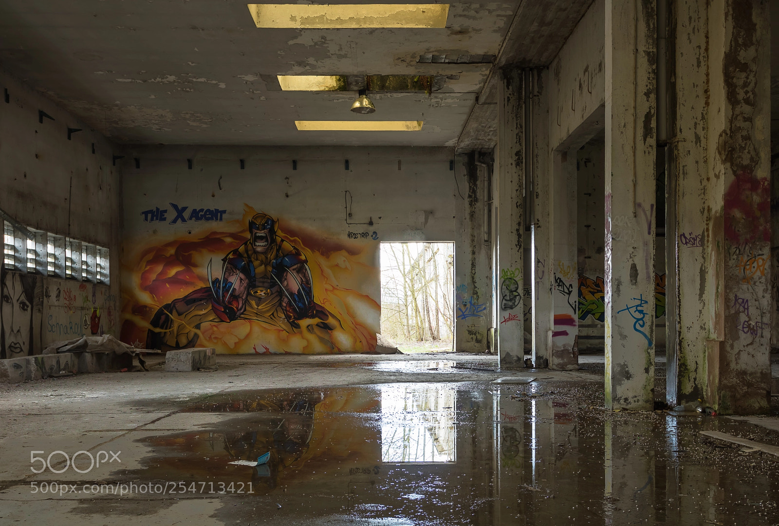 Canon EOS 760D (EOS Rebel T6s / EOS 8000D) sample photo. Decay ii photography