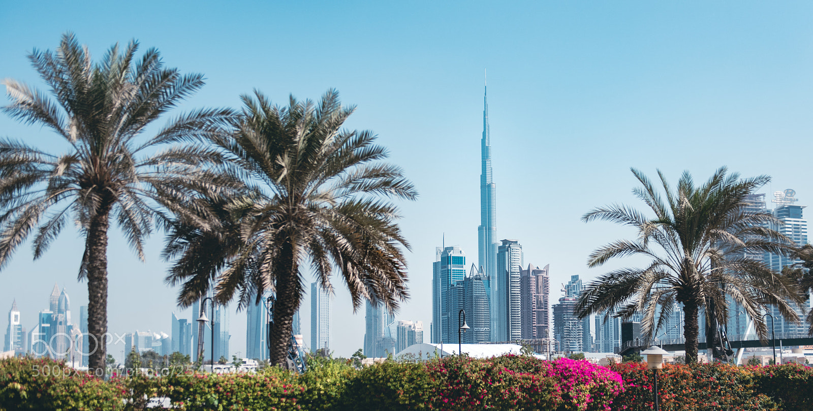 Nikon D810 sample photo. Panoramic view of dubai photography