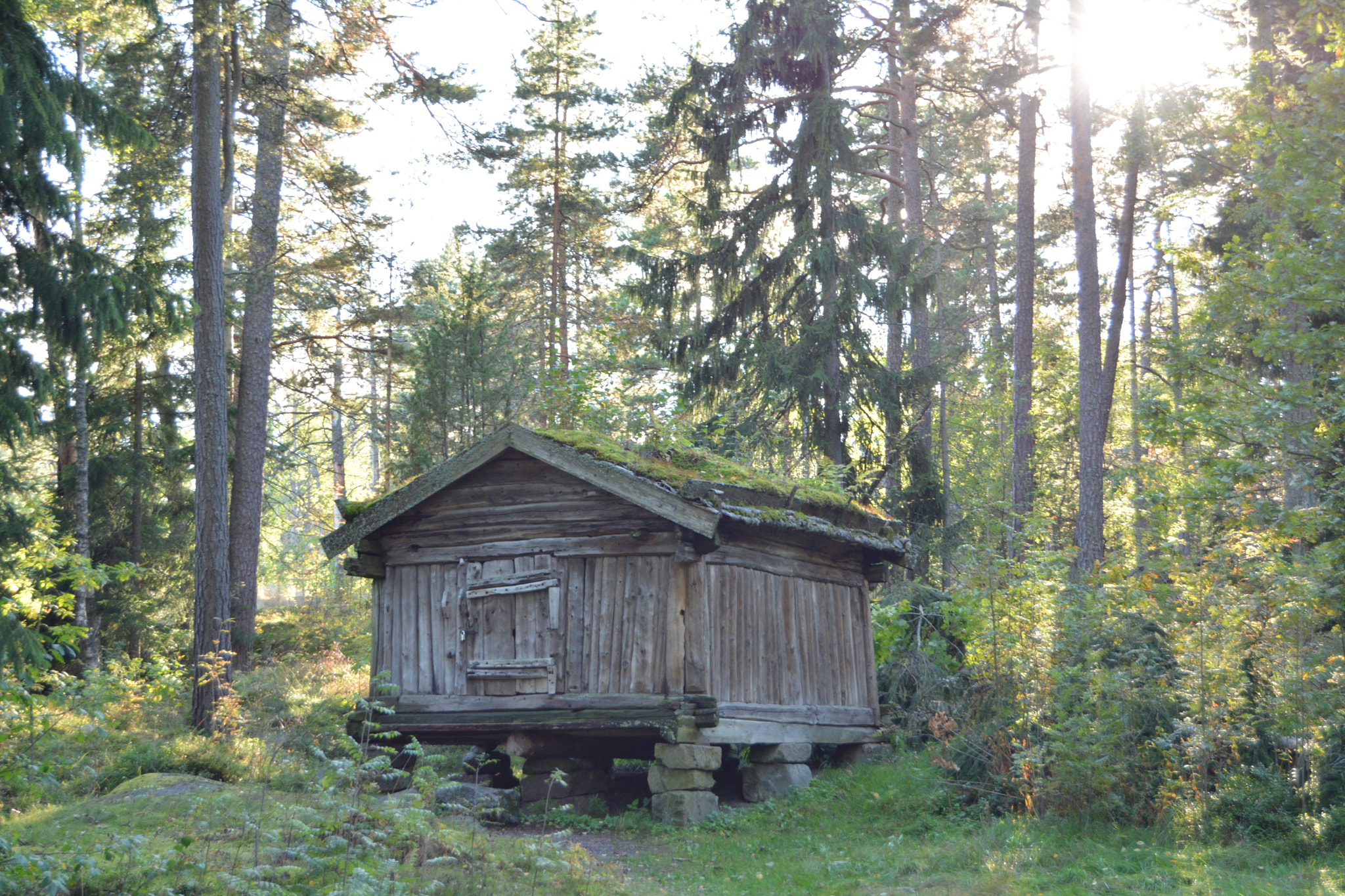 Nikon D5200 sample photo. Finnish history photography