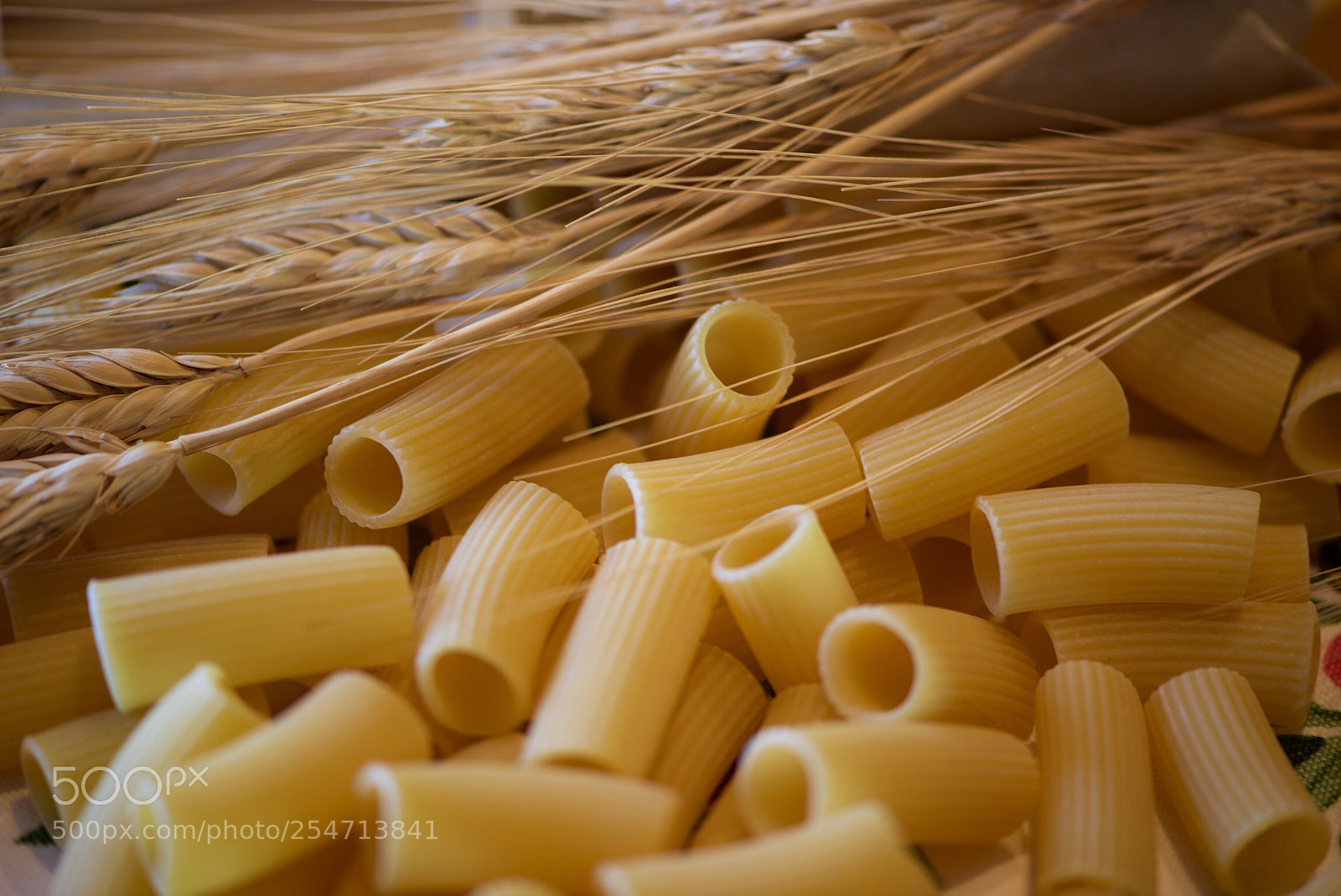 Nikon D800 sample photo. Senatore cappelli in purezza photography