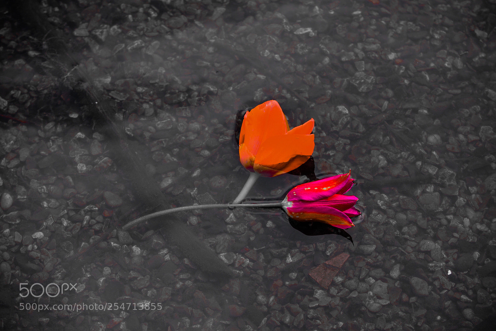 Nikon D3100 sample photo. Untitled photography