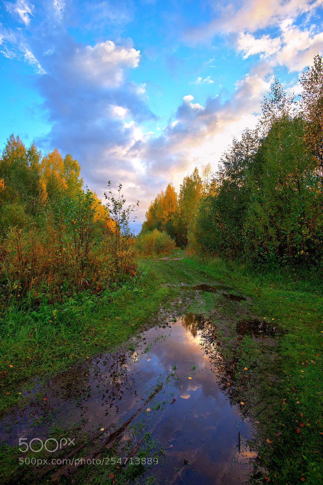 Nikon D800 sample photo. Reflection photography